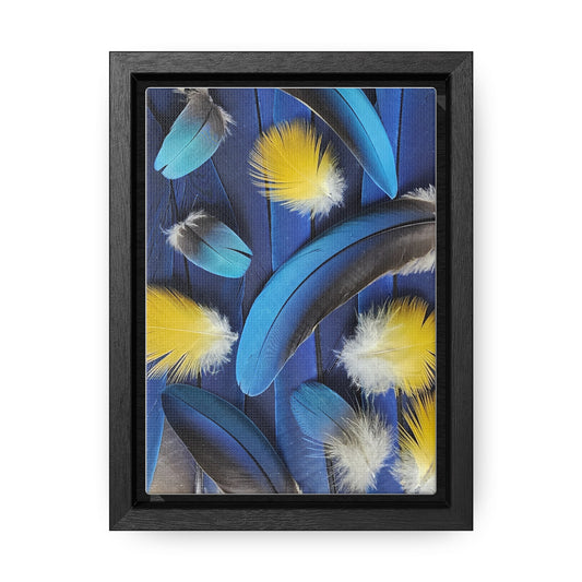 Blue and Yellow Feathers with Frame