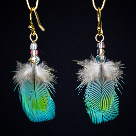 Green and Blue Feather Earrings 18kt Gold Plated Wires EGFBG321