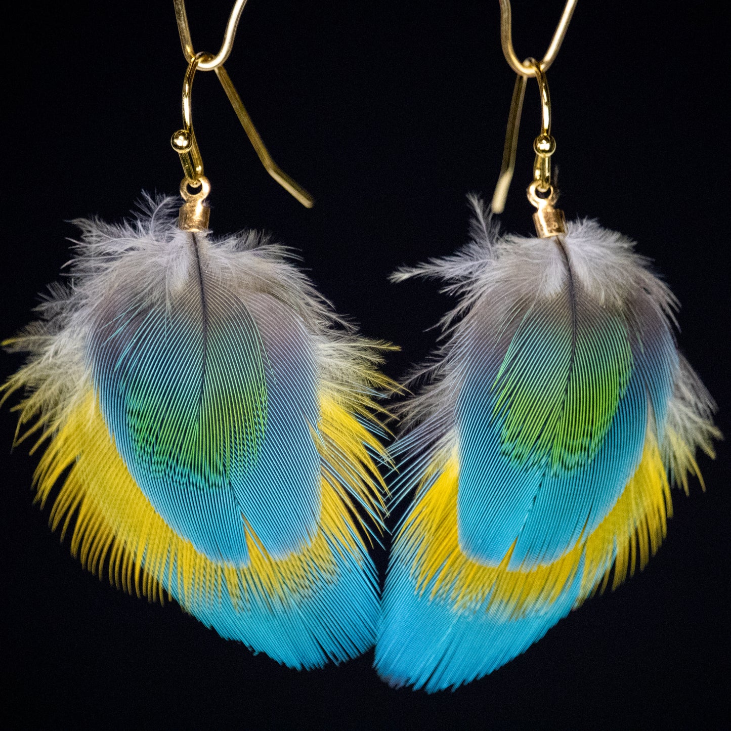 Blue Yellow and Green Feather Earrings 18kt Gold Plated Wire EGFBYG329