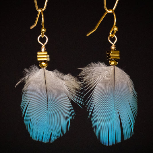 Blue Feather Earing 18kt Gold Plated Wire EGFB330