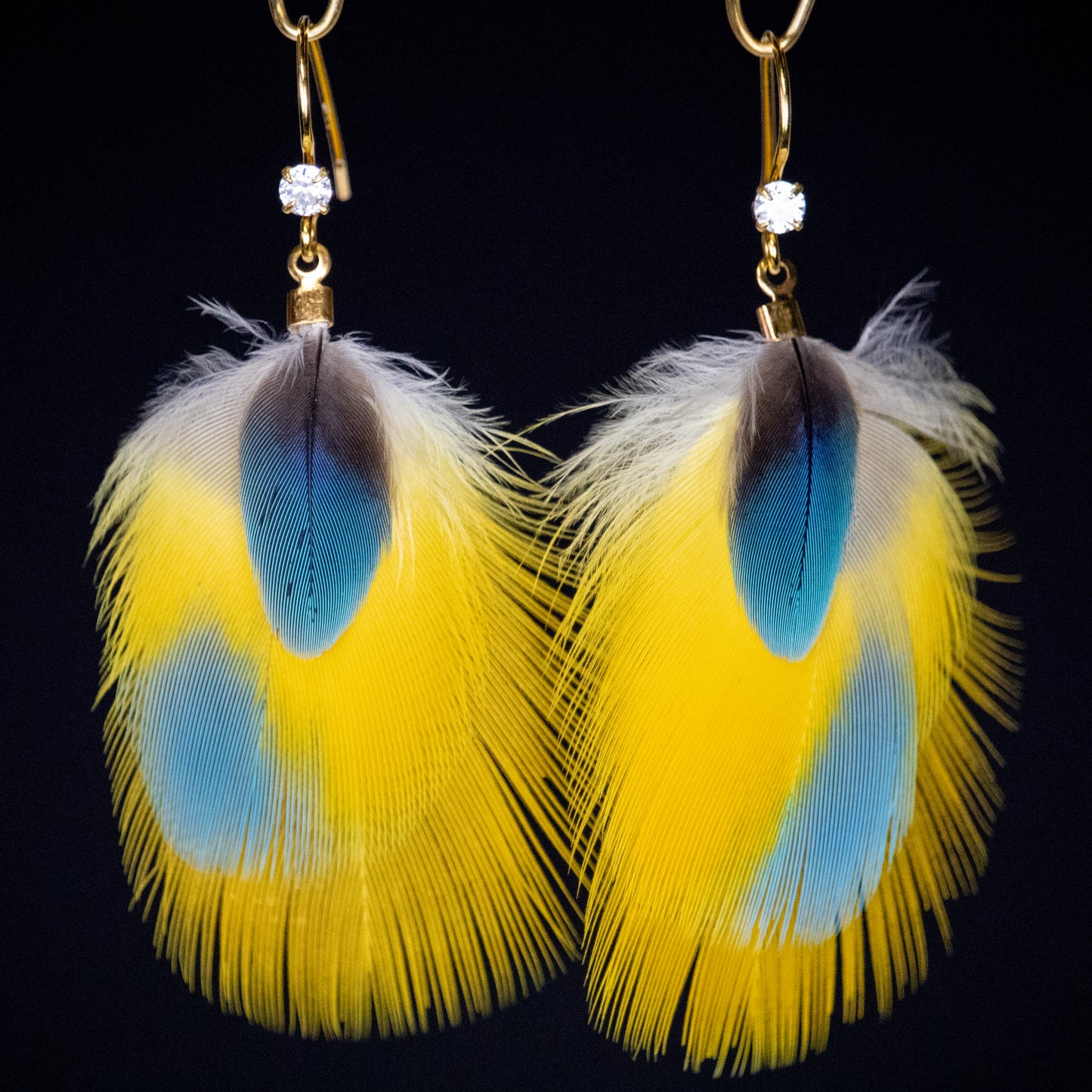 Yellow and Blue Bicolor Feather Earrings 18kt Gold Plated EGFYB334