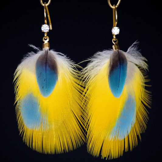 Yellow and Blue Bicolor Feather Earrings 18kt Gold Plated EGFYB334
