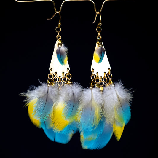 Bicolor Feather Earrings 18kt Gold Wires EGFBY340