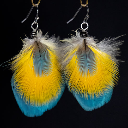 Blue and Yellow Earrings ESFBY348